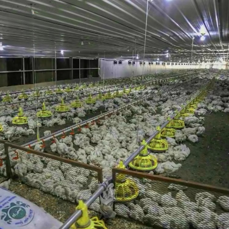 Продается сельскохозяйственное – обзор и цена Agriculture Farming Equipments