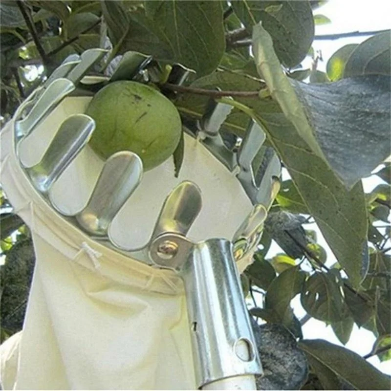 Сборщик фруктов для сада и ого – обзор и цена Agriculture Farming Tool